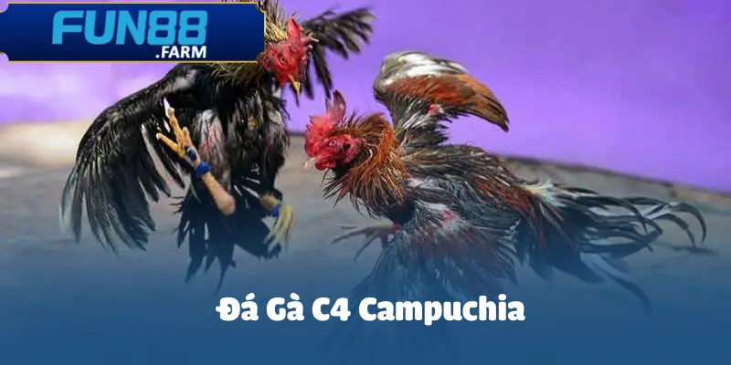 da-ga-c4-campuchia