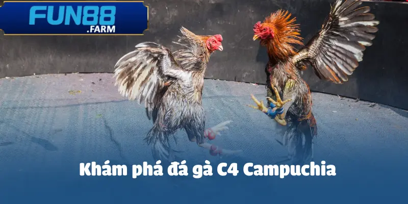 da-ga-c4-campuchia