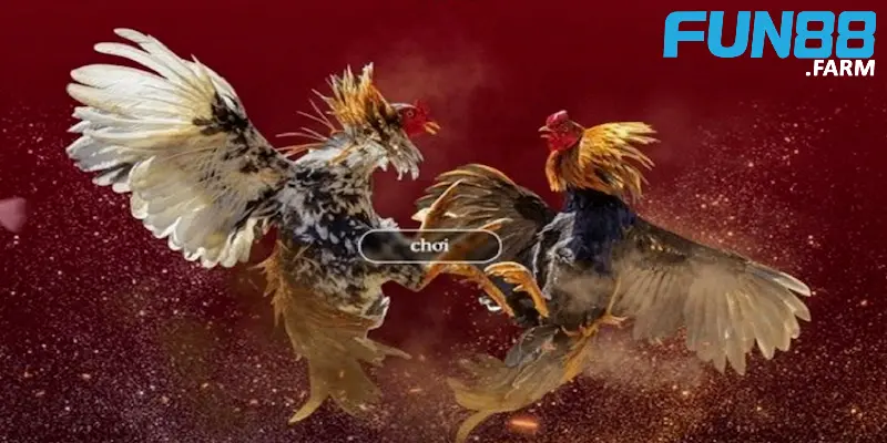 Kinh Nghiệm Cược Đá Gà Hiệu Quả Và Chính Xác Từ Cao Thủ 2 kinh-nghiem-ca-cuoc-da-ga-de-dang-gianh-chien-thang
