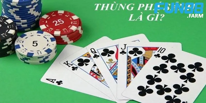 thung-pha-sanh-anh-dai-dien